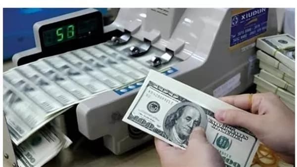 ضبط تهم بتجارة عملة بقيمة 35 مليون جنيه خلال أسبوع
