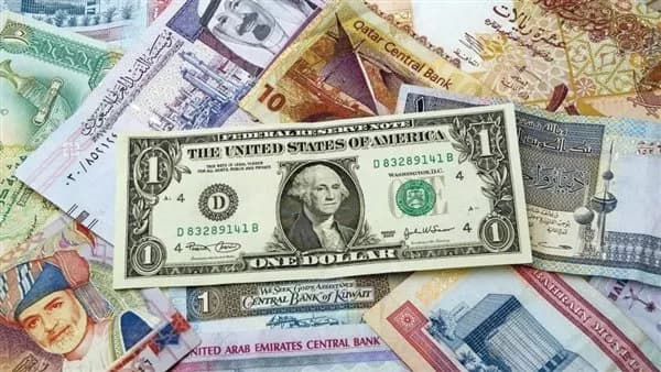 ضبط قضايا تهريب نقد أجنبي بقيمة 42 مليون جنيه خلال أسبوع