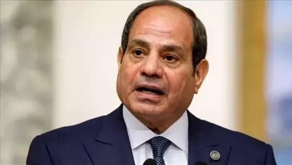 السيسي يوجه لإنشاء مناطق استثمارية حول المطارات