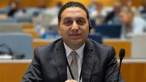 محمد عادل هو المتحدث باسم الحكومة