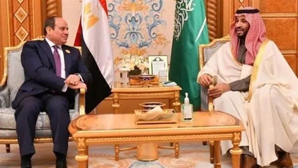 مصر والسعودية تؤكدان حماية حرية الملاحة في مضيقي هرمز وباب المندب