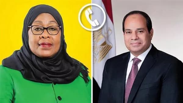 السيسي يبرز أهمية التعاون مع تنزانيا