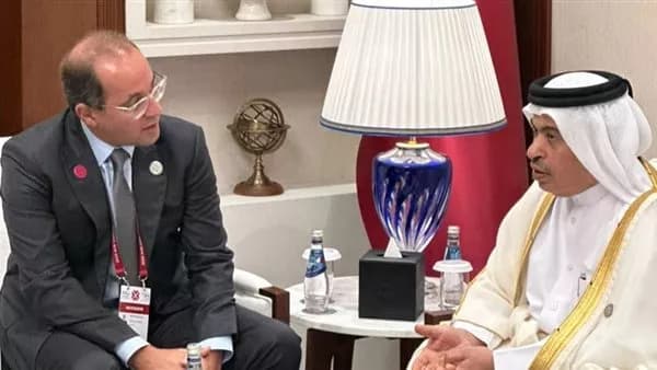 وزير المالية يناقش استثمار قطر في مصر