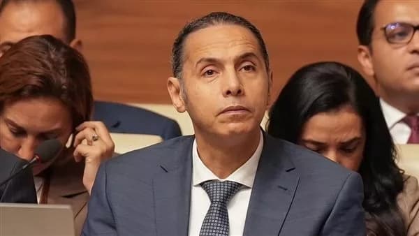 الرقابة المالية: 33.7 مليار جنيه لتمويل السيدات