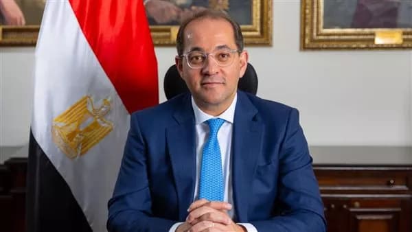 وزير المالية يعلن تسجيل 2.5 مليون وحدة عبر تطبيق الضرائب