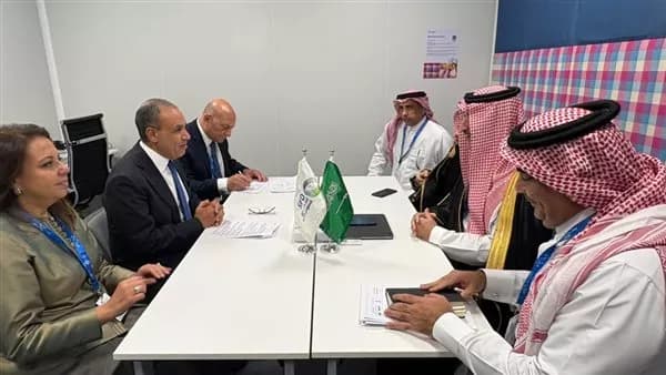 وزير الخارجية يناقش تعزيز التعاون مع الصندوق السعودي
