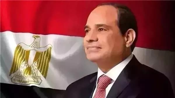 مصر تساهم في زيادة رأس مال هيئة التنمية الدولية