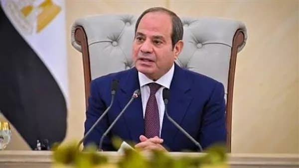 مصر تساهم في زيادة رأسمال هيئة التنمية الدولية