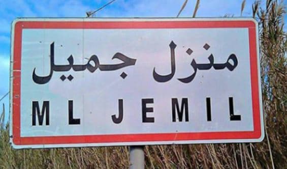 Manzil Jamil bans animal raising