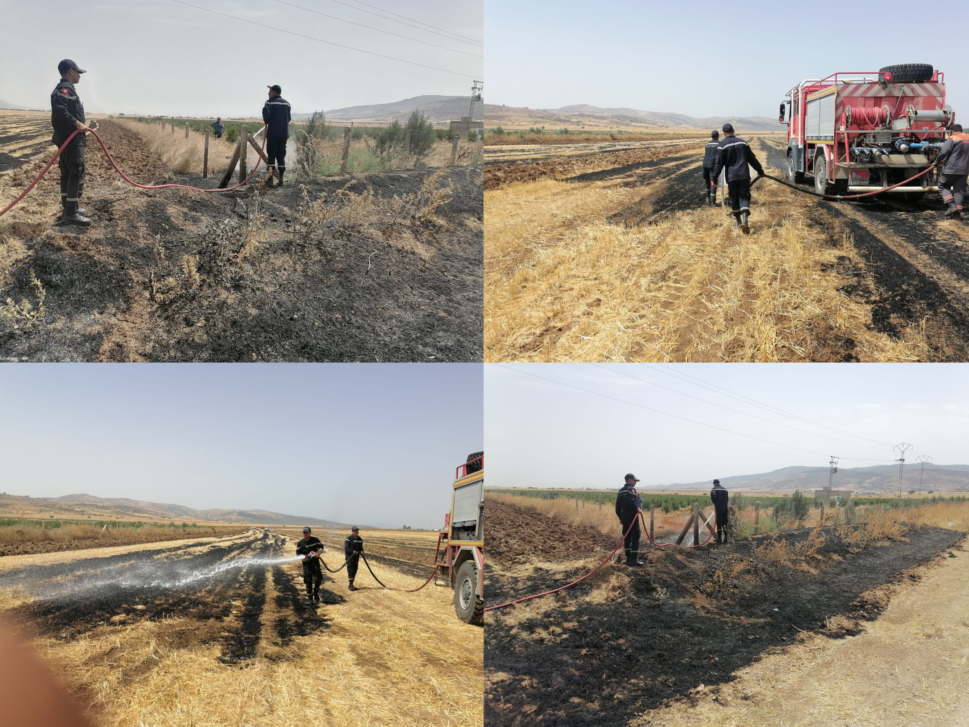 Jendouba fire destroys 3 hectares