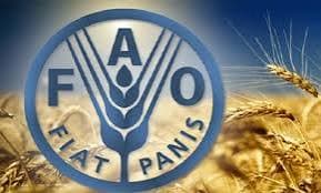 FAO launches World Food Day mural contest