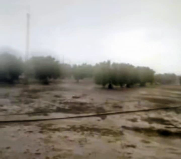 Heavy rains at Al-Manara celebrate God's victory