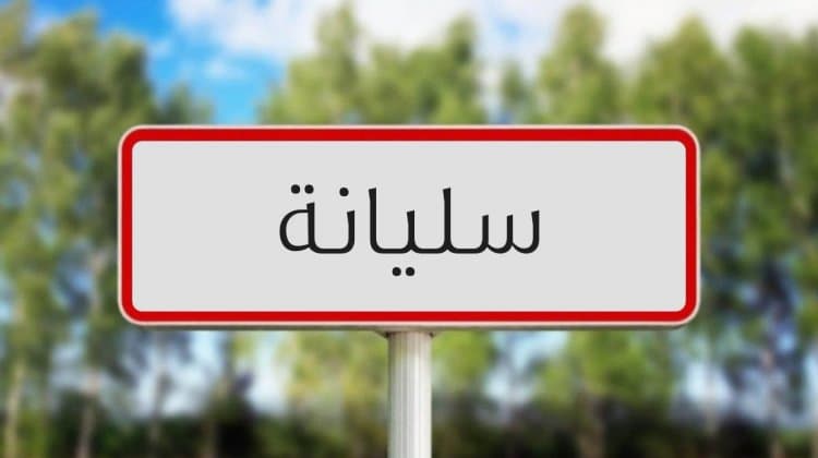 سليانة.. وزير الفلاحة يطلع على آثار حريق جبل بولمان