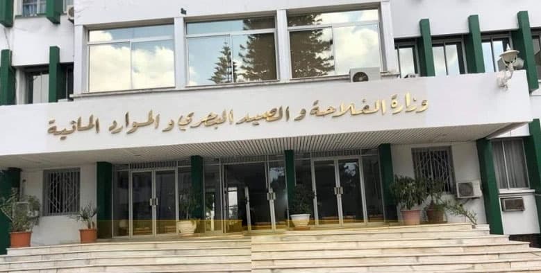 Agriculture Ministry to review poultry output after heatwave loss assessment
