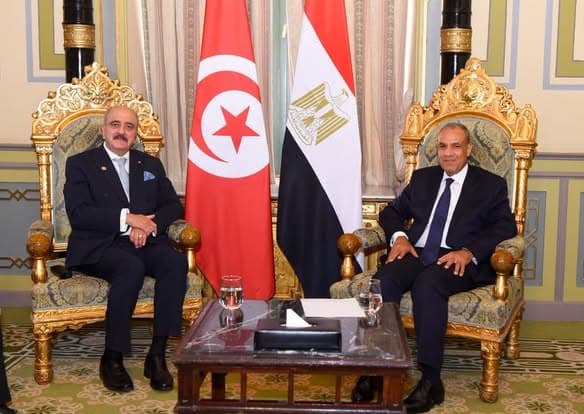 وزير الخارجية يزور مصر