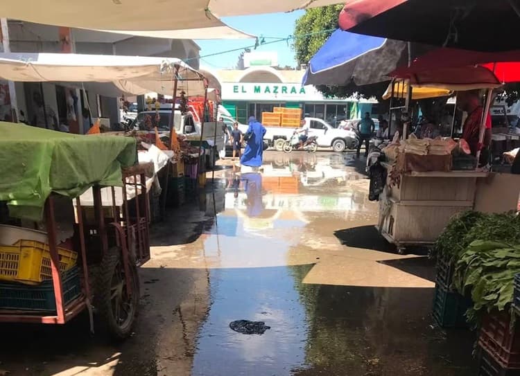 Tamim House Faces Environmental Crisis from Sewage Leak