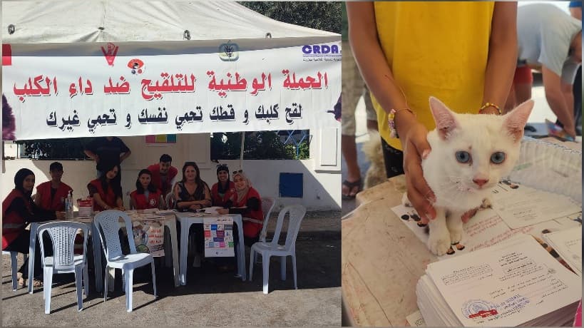 حملة تلقيح ضد داء الكلب تبدأ