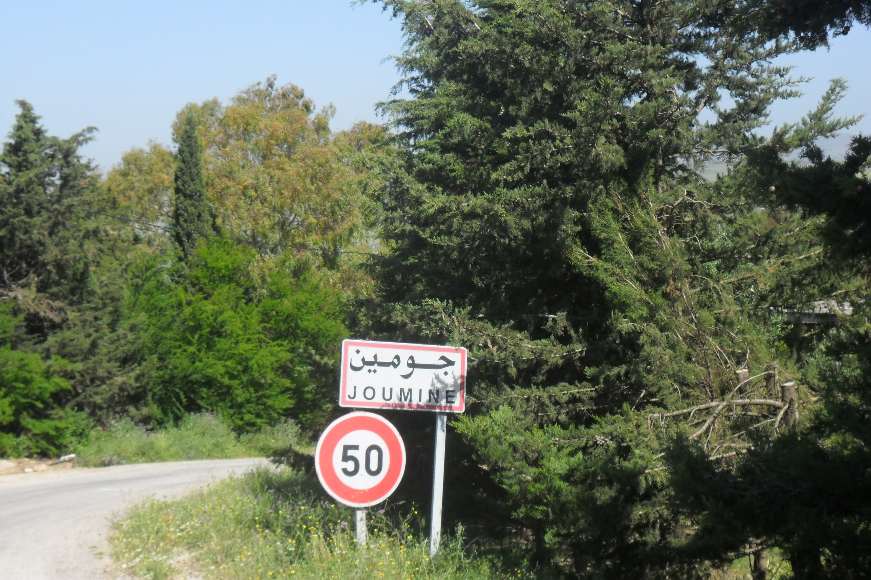 حريق يجتاح جبل السمان