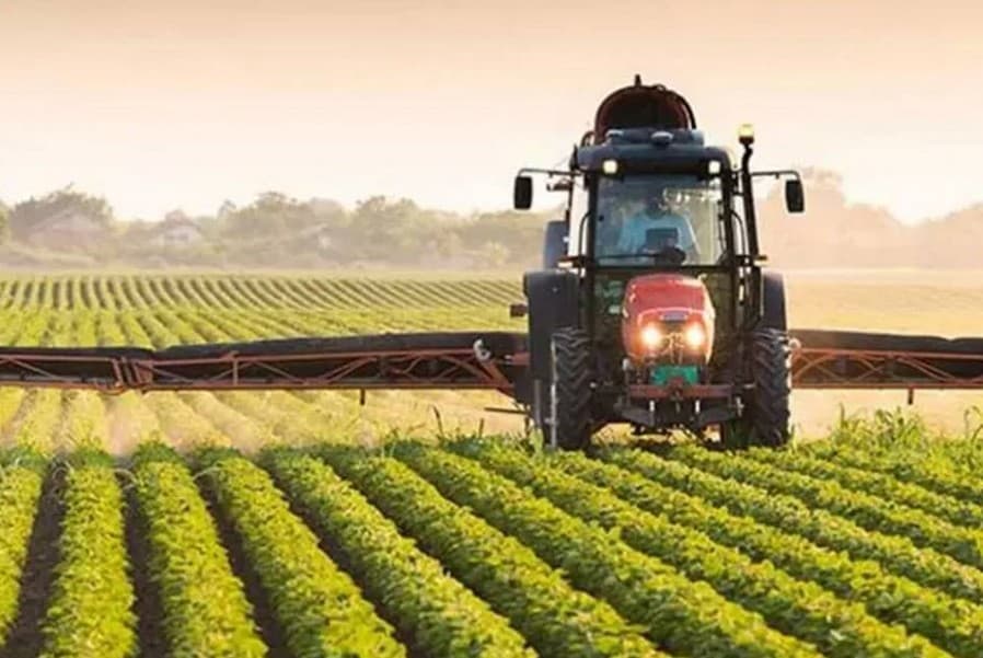 Planting plan for 2026/2027