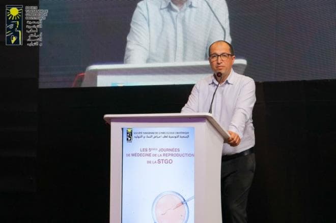 Fertility Decline in Tunisia and AI Solutions