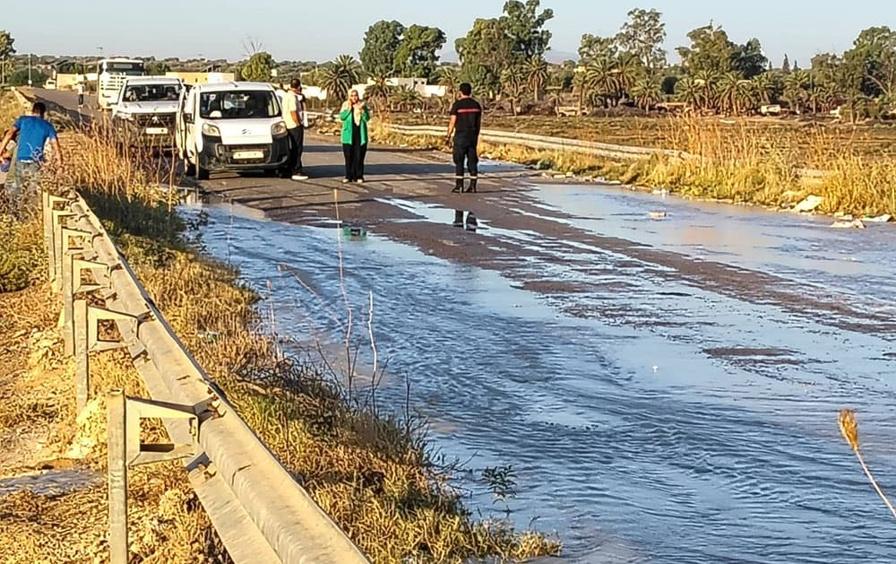 Kairouan Route 12 Blocked by Forests