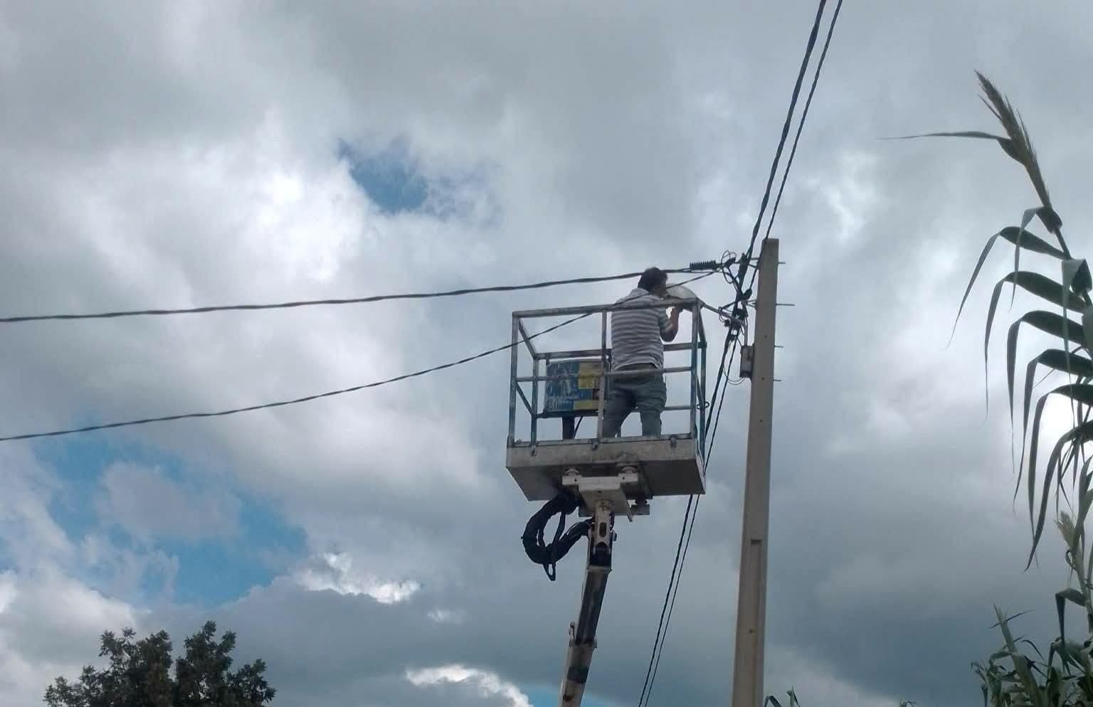 Bourguiba House endorses electrical network upkeep