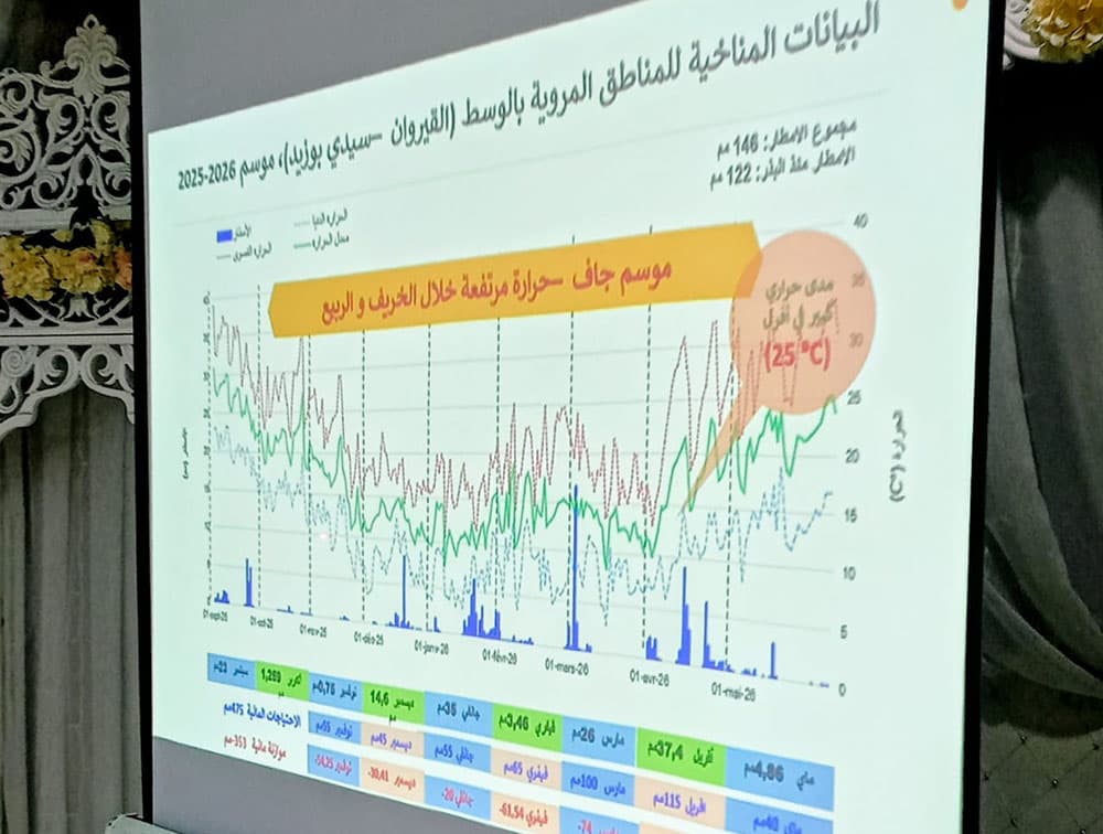 Kairouan Conference on Grain Sector Climate Adaptation