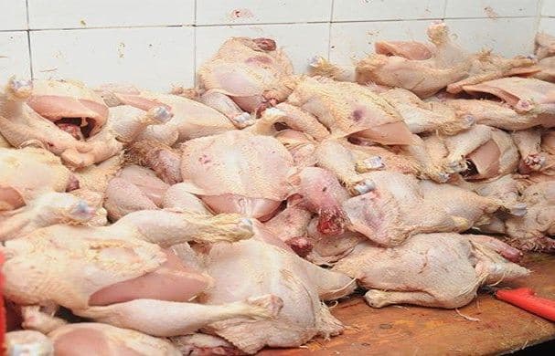 المهدية تحجز 4.7 طن دجاج منتهي الصلاحية