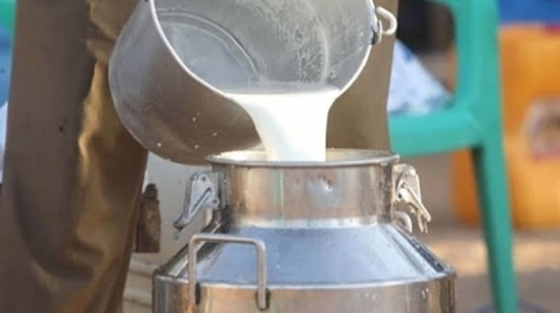 Adjusted stock of pasteurized milk at 19.8 million liters