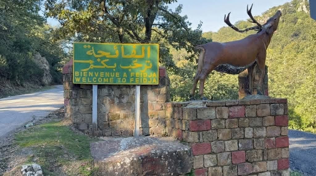 Al-Fayja Museum of Wildlife and Forest History