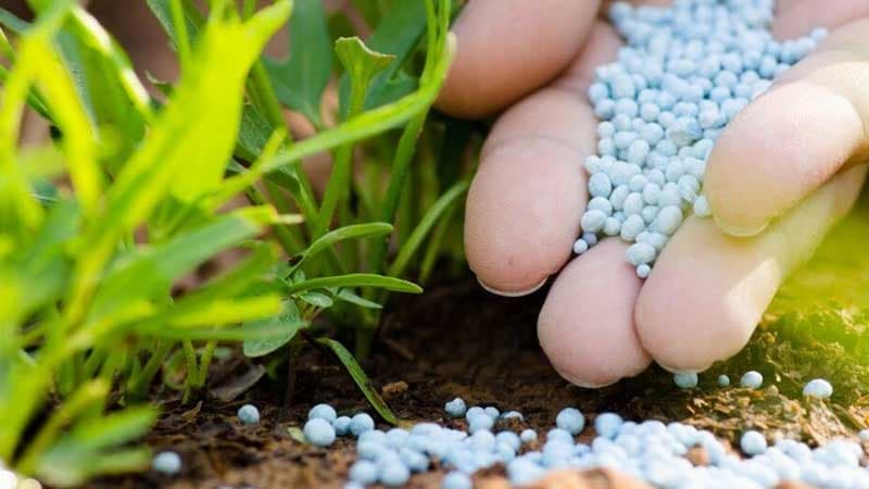 Jendouba sets for crop season with 82,000 ha for cereals