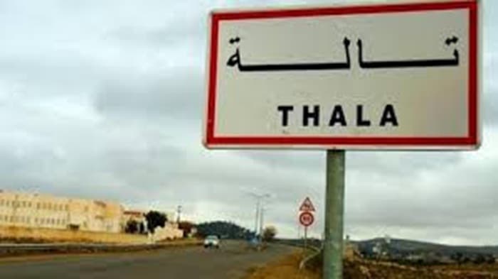 Kasserine/Tala council demands permanent delegate