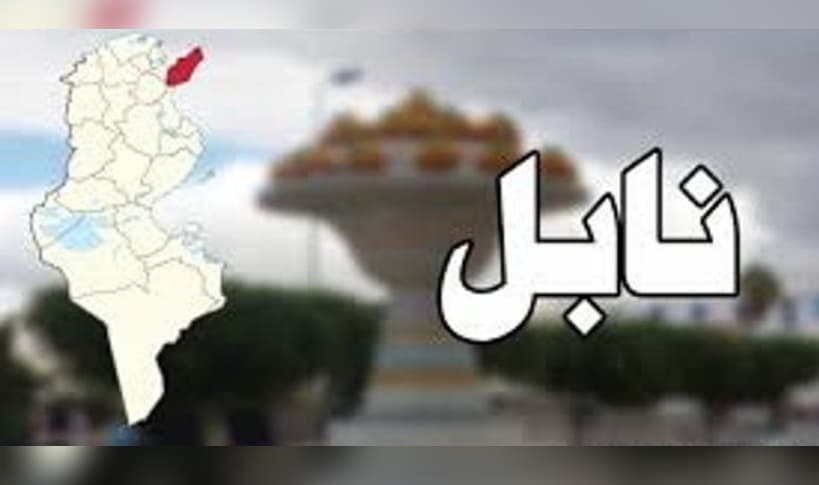 Second Regional Council Registers 15 Projects on TUNEPS