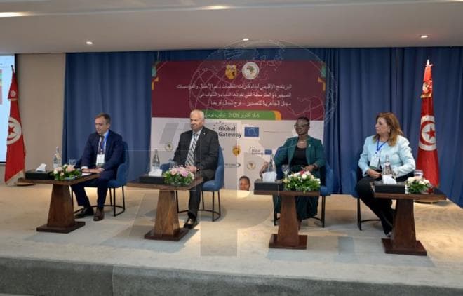 Tunisia Finalizes Over 400 Zelekaf Deals