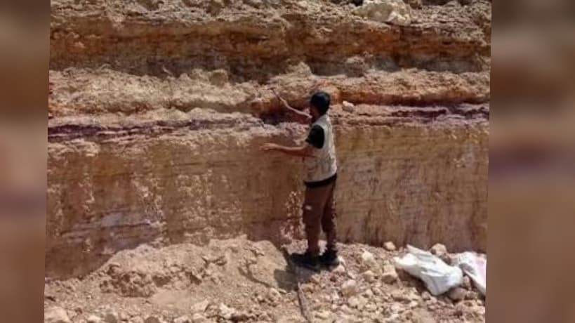 Three Tunisian scientists rank in top 40 worldwide