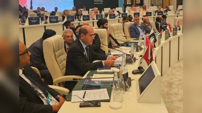 وزير الصناعة المؤقت يدعم تونس عربيا