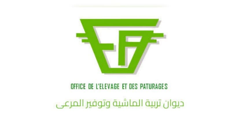 ديوان تربية الماشية يدرس قيمة مخلفات النخيل في التغذية