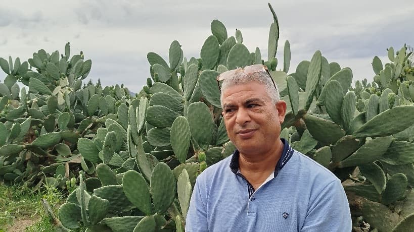 Bouraakoub irrigation cut harms citrus yield