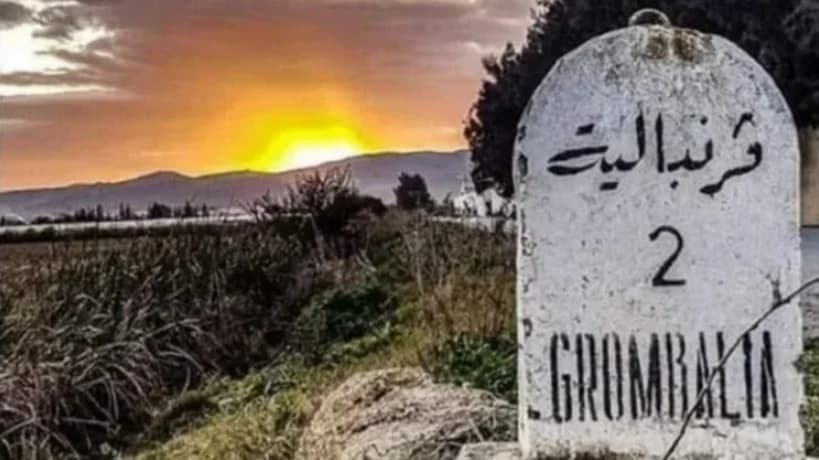 نابل تؤجل تصنيف مصنع الذباب الأسود