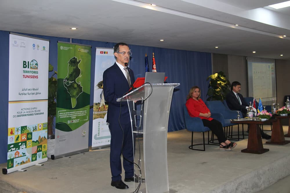 Tunisia's organic farming exports hit 700M دنانير