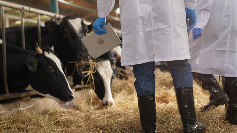 Veterinary services enhance animal supply safeguards