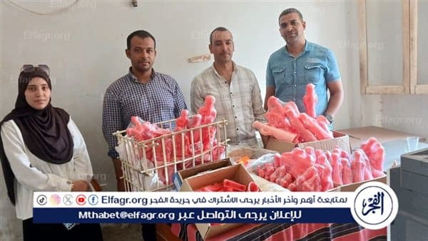مضبوطات حلوى مجهولة وجيوش الإشغالات في أسيوط