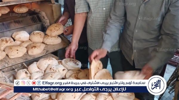 حملات أسيوط تداهم المخابز وتحسن الطرق