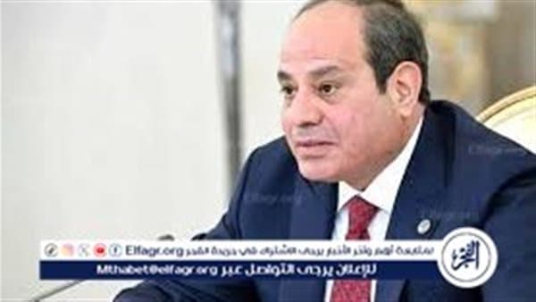 السيسي يحث على معالجة شكاوى خدمات المطارات
