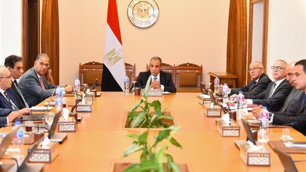 وزير الخارجية يتابع تطوير منصة الخدمات القنصلية للمصريين