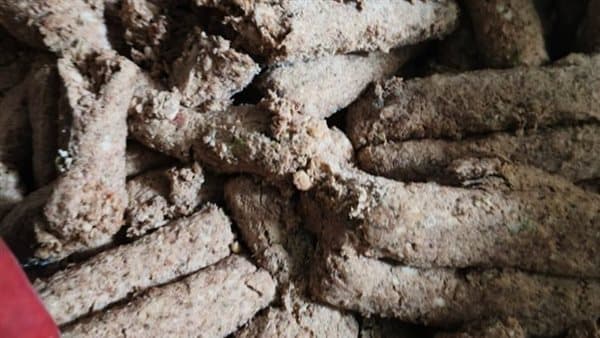 الزراعة تضبط أكثر من 213 طن من اللحوم المخالفة في أغسطس