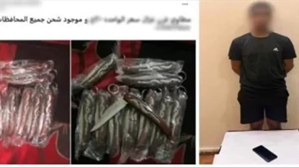 ضبط عاطل يبيع أسلحة بيضاء واحتيال في الإسماعيلية
