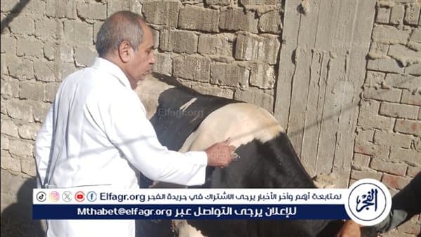 محافظ أسيوط يضبط مخزن بدون ترخيص ويحمي ماشية
