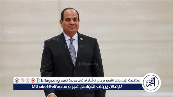 السيسي وولي العهد يبحثان علاقات مصر والسعودية