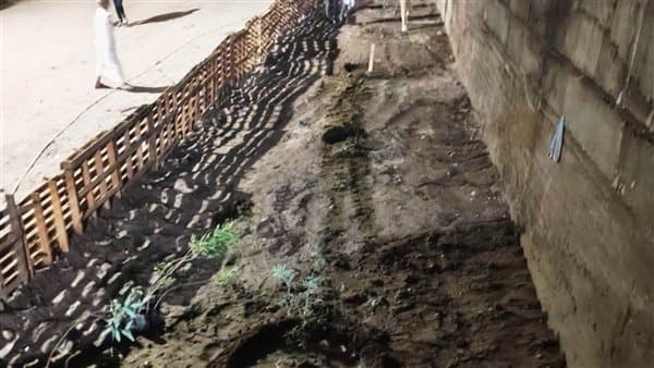 أسوان تهدف لتحولها إلى طريق أخضر بزراعة 30 ألف شجرة